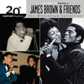 JAMES BROWN / ジェームス・ブラウン / VOL.3 BEST OF JAMES BROWN & FRIENDS 20TH C