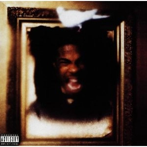 BUSTA RHYMES / バスタライムス / THE COMING 2LP / THE COMING アナログ2LP