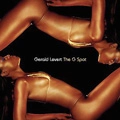 GERALD LEVERT / ジェラルド・レヴァート / THE G SPOT