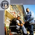 PETE ROCK & C.L. SMOOTH / ピート・ロック&C.L.スムース / THEY REMINISCE OVER YOU (T.R.O.Y.)