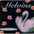 MELVINS / メルヴィンズ / STONER WITCH