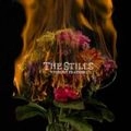 STILLS / スティルス / WITHOUT FEATHERS