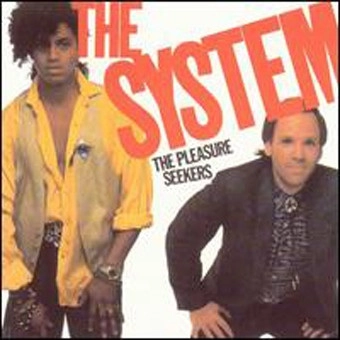 SYSTEM / システム / PLEASURE SEEKERS