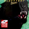BLACKFOOT / ブラックフット / TOMCATTIN'