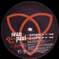 SEAN PAUL / ショーン・ポール / NEVER GONNA BE THE SAME