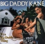 BIG DADDY KANE / ビッグ・ダディ・ケイン / IT'S A BIG DADDY THING