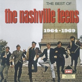 NASHVILLE TEENS / ナッシュヴィル・ティーンズ / BEST OF 1964/1969