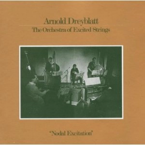 ARNOLD DREYBLATT / アーノルド・ドレイブラット / NODAL EXCITATION - USA