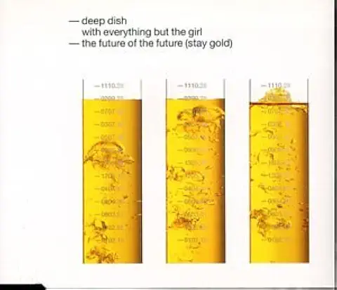 DEEP DISH / ディープ・ディッシュ / FUTURE OF THE FUTURE ( STAY GOLD )