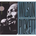 WILSON PICKETT / ウィルソン・ピケット / MAN & A HALF-BEST OF