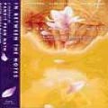 PANDIT PRAN NATH / バンディット・プラナント  / IN BETWEEN THE NOTES