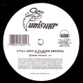 BIG PUN (BIG PUNISHER) / ビッグ・パン / STILL NOT A PLAYER-REMIX