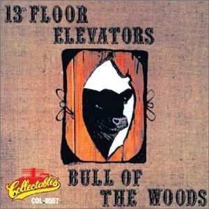 13TH FLOOR ELEVATORS / サーティーンス・フロア・エレヴェーターズ / BULL OF THE WOODS