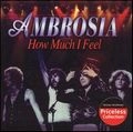 AMBROSIA / アンブロージア / HOW MUCH I FEEL