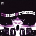 DRUIDS OF STONEHENGE / ドルイド・オブ・ストーンヘンジ / DRUIDS OF STONEHENGE