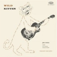JOE PUMA / ジョー・ピューマ / WILD KITTEN