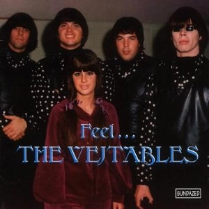 VEJTABLES / FEEL THE VEJTABLES -U.S.A.