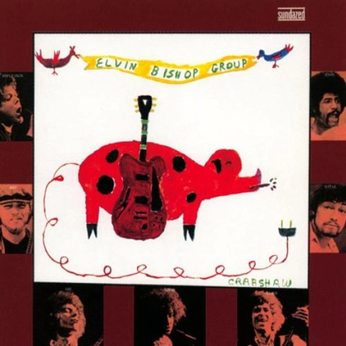 ELVIN BISHOP GROUP / エルヴィン・ビショップ・グループ / ELVIN BISHOP GROUP