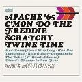 DAVIE ALLAN & THE ARROWS / デイヴィ・アラン&ジ・アロウズ / APACHE '65