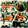 DAVIE ALLAN & THE ARROWS / デイヴィ・アラン&ジ・アロウズ / CYCLE DELIC SOUNDS
