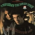 LEATHERCOATED MINDS / レザーコーテッド・マインド / TRIP DOWN SUNSET STRIP