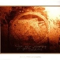 APHEX TWIN / エイフェックス・ツイン / VOL. 2-SELECTED AMBIENT WORKS