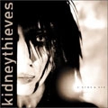 KIDNEYTHIEVES / ZEROSPACE