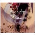 SILVERSUN PICKUPS / シルヴァーサン・ピックアップス / SWOON