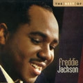FREDDIE JACKSON / フレディ・ジャクソン / BEST OF FREDDIE JACKSON