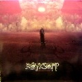 ROYKSOPP / ロイクソップ / WHAT ELSE IS THERE?