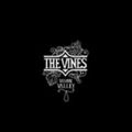 VINES / ヴァインズ / VISION VALLEY (CCCD)
