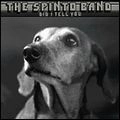 SPINTO BAND / スピント・バンド / DID I TELL YOU (1ST)
