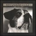 SPINTO BAND / スピント・バンド / DID I TELL YOU (2ND)