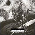 DAVID SYLVIAN / デヴィッド・シルヴィアン / SECRETS OF THE BEEHIVE