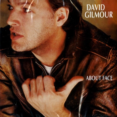 DAVID GILMOUR / デヴィッド・ギルモア / ABOUT FACE