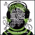 VINES / ヴァインズ / DON'T LISTEN TO THE RADIO
