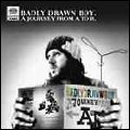 BADLY DRAWN BOY / バッドリー・ドローン・ボーイ / JOURNEY FROM A TO B (BLUE VINYL)
