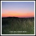 LONEY, DEAR / ロニー・ディア / SATURDAY WAITS