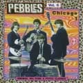 V.A. (PEBBLES) / PEBBLES VOLUME 6/CHICAGO