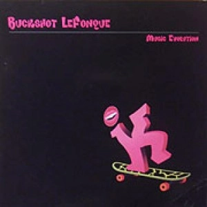 BUCKSHOT LEFONQUE / バックショット・ルフォンク / MUSIC EVOLUTION