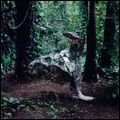 CSS / シーエスエス / DONKEY