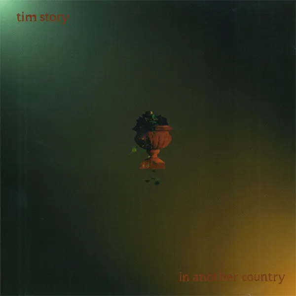 TIM STORY / ティム・ストーリー / IN ANOTHER COUNTRY