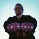 LEE FIELDS & THE EXPRESSIONS / リー・フィールズ&ザ・エクスプレッションズ / MY WORLD