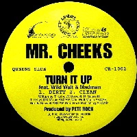 MR.CHEEKS / TURN IT UP