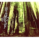 BIGELF / ビッグエルフ / HEX(DIGIPACK)
