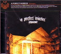 PERFECT MURDER / パーフェクトマーダー / REHEARSAL