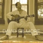 DAVID GILMORE / デヴィッド・ギルモア / UNIFIED PRESENCE