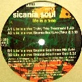 SICANIA SOUL / LIFE IS A TREE(TRUBY TRIO TREATMENT)