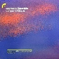 KEY TRONICS ENSEMBLE / CALYPSO OF HOUSE