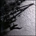 MAX RICHTER / マックス・リヒター / BLUE NOTEBOOKS